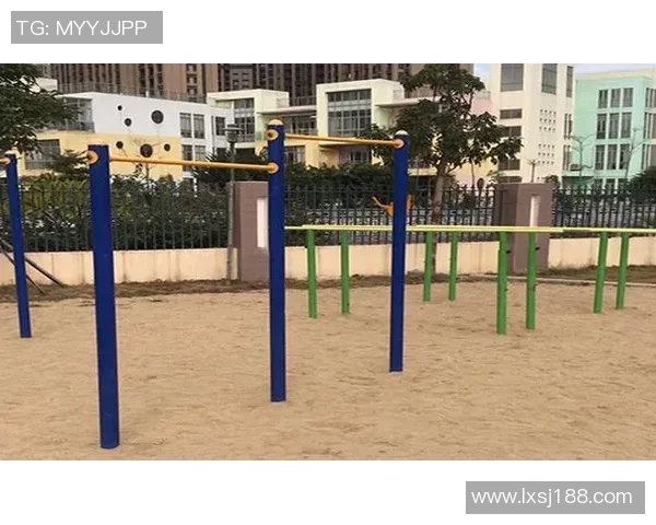 福州市健身器材购买地点与推荐品牌：如何在福州找到性价比高的器材